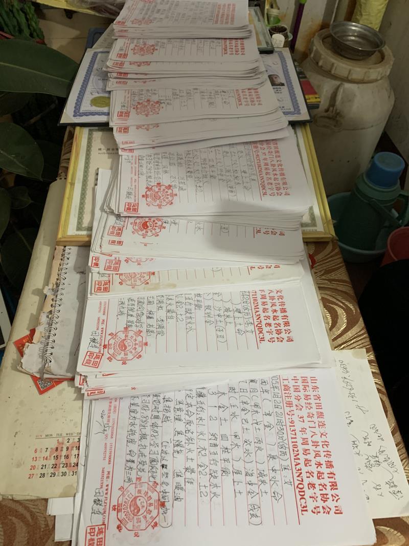 金平用案例说话 起名实力
